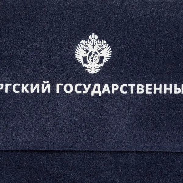 D2: Шелкография с трансфером
