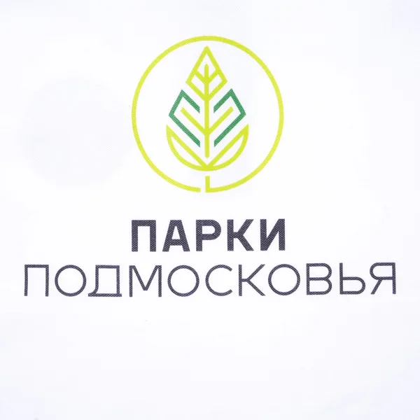 DTG2: Полноцвет водными чернилами