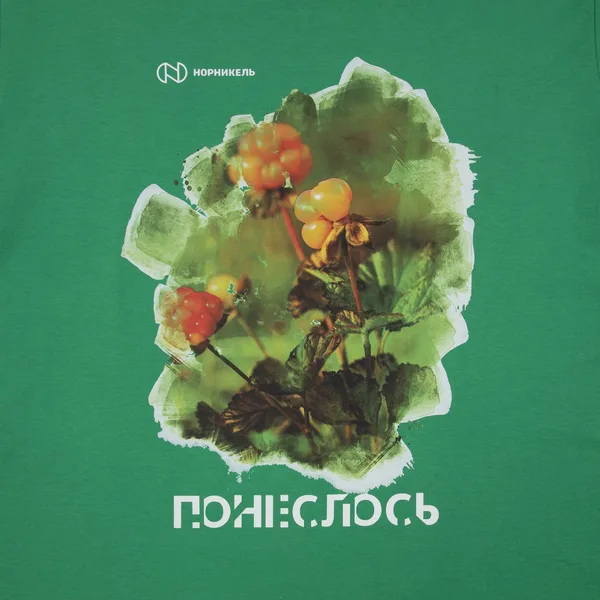 DTF3: Полноцвет с трансфером