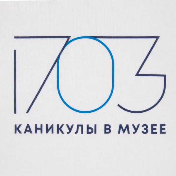 D3: Шелкография с трансфером