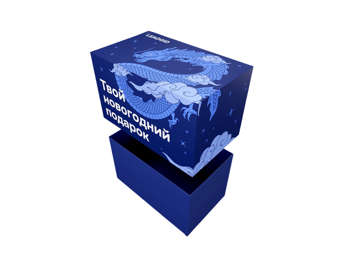 Фирменная коробка Leadgid с драконом
