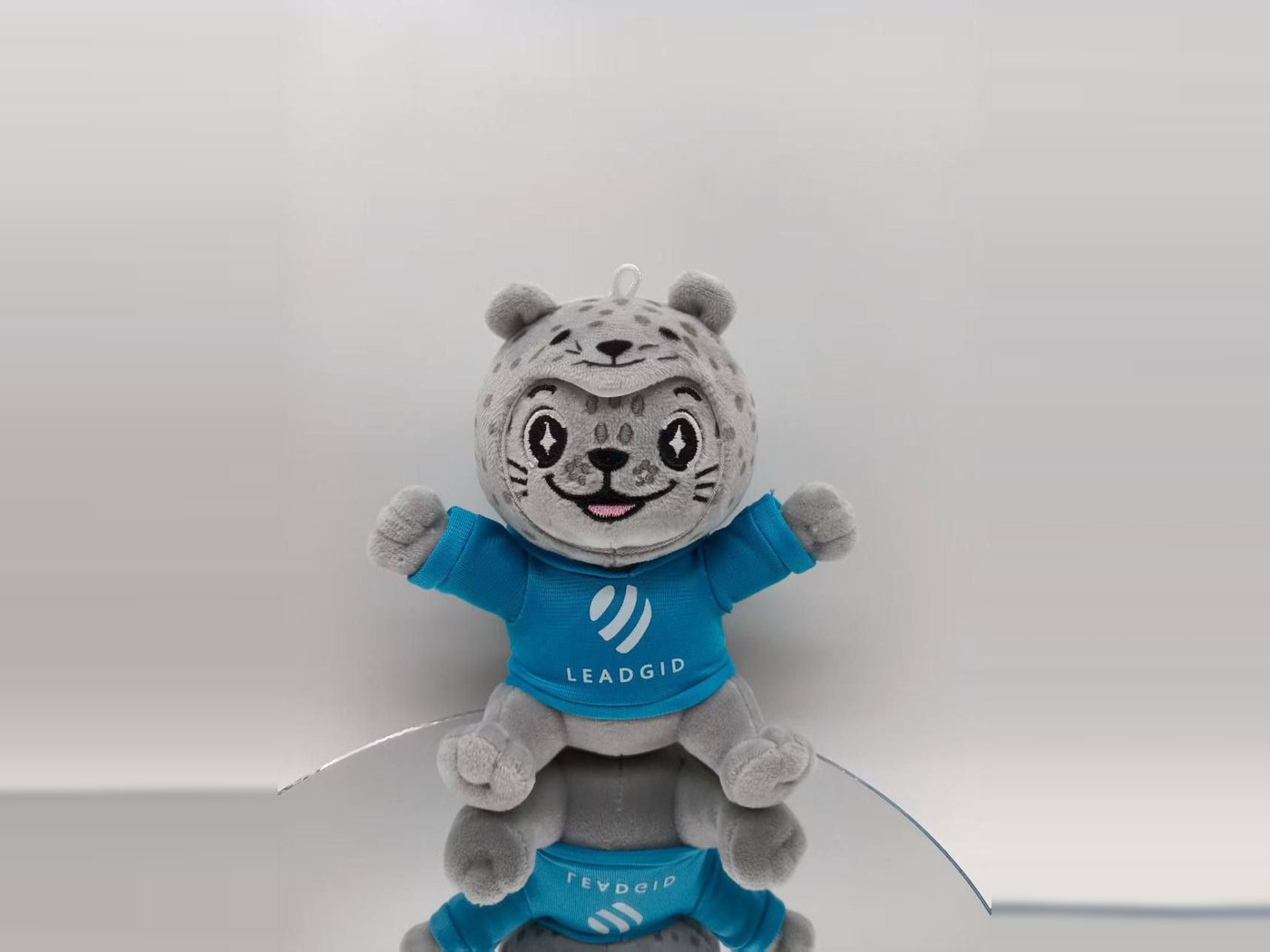 Финальный образец нерпы Leadgid